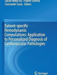 Patient-Specific Hemodynamic Computations