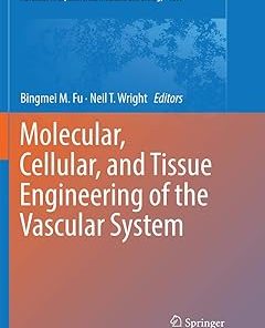 Molecular Cellular and Tissue Engineering of the Vascular System
