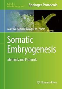 Somatic Embryogenesis Methods and Protocols