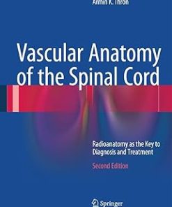 Vascular Anatomy of the Spinal Cord