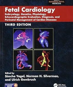 Fetal Cardiology