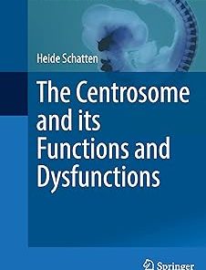 The Centrosome and Its Functions and Dysfunctions