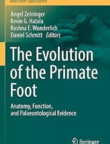 The Evolution of the Primate Foot