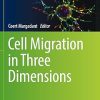 Cell Migration in Three Dimensions