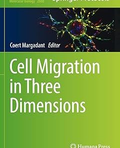 Cell Migration in Three Dimensions