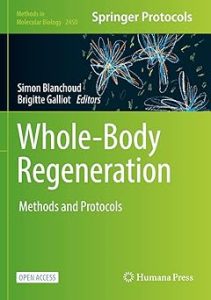 Whole-Body Regeneration Methods and Protocols