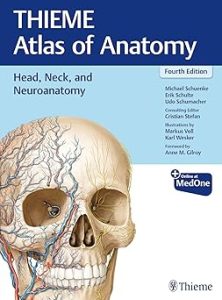 Head Neck and Neuroanatomy