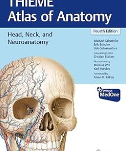 Head Neck and Neuroanatomy