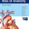 Internal Organs (Thieme Atlas of Anatomy)